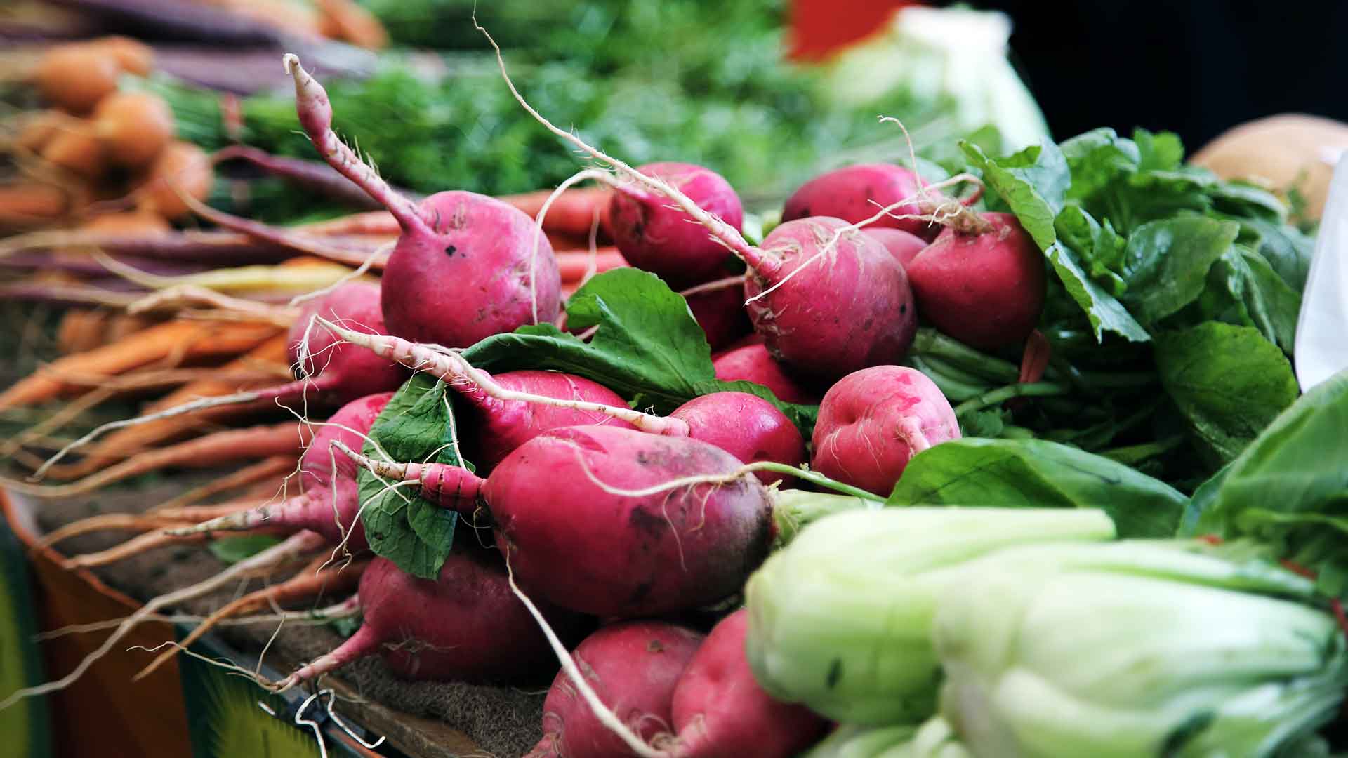 Marrow Family Farm Vegetables Radishes