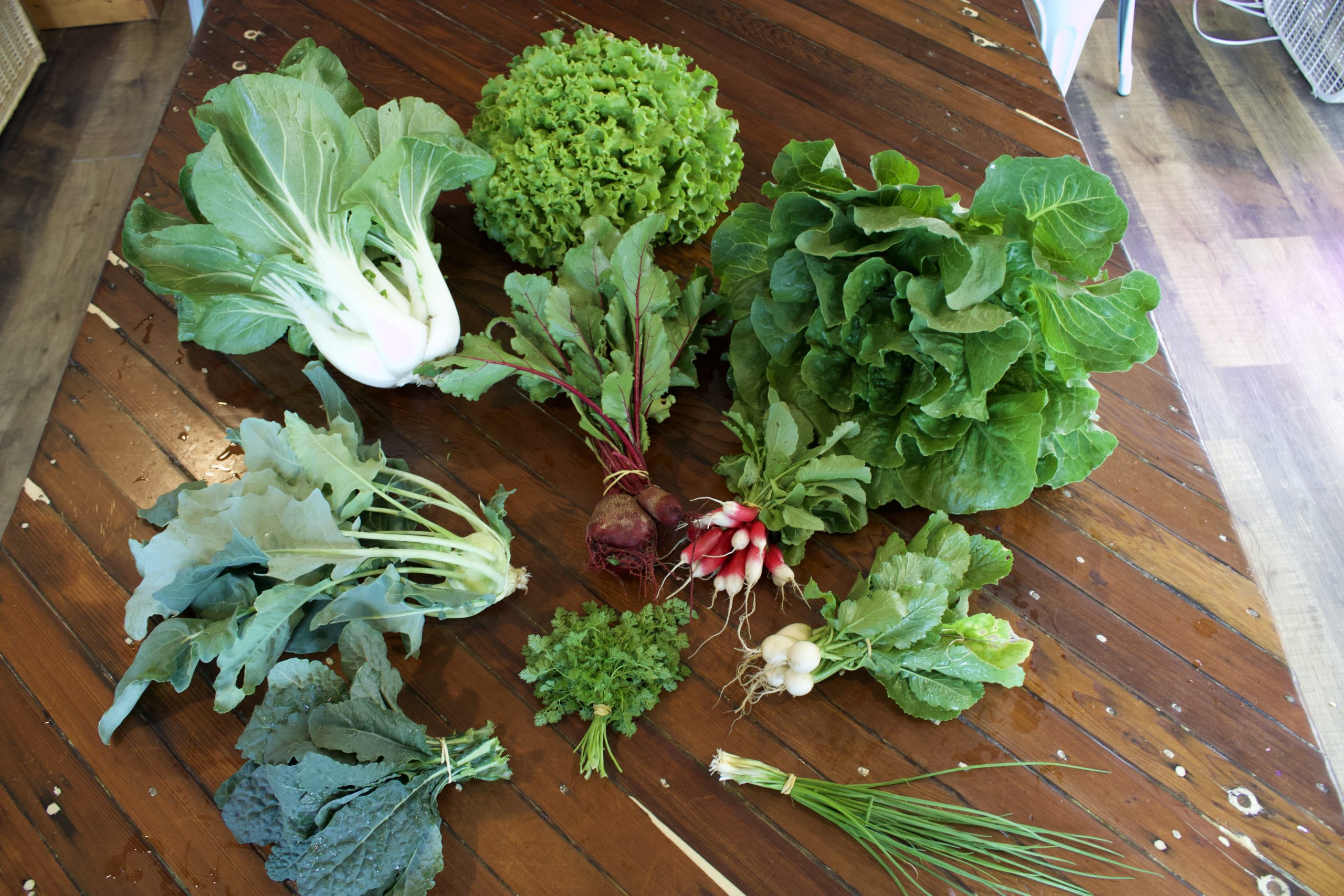 5/22/23 CSA Farm Box